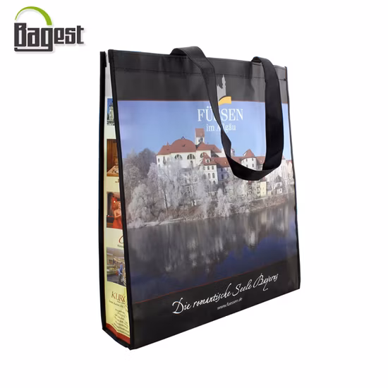Non Woven Shopping PLA Gift Bag
