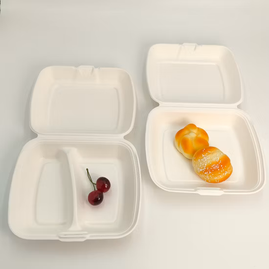 9′′ Sugarcane Bagasse Clamshell Box Food Container Dispostable Biodegradable Tableware Hot Sale