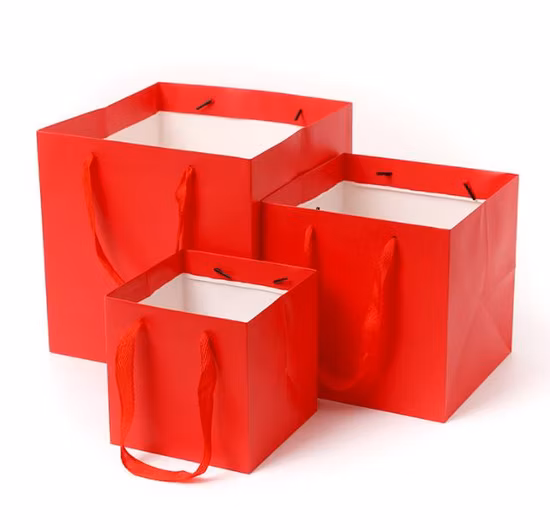 Custom Printed Jewelry Shopping Paper Gift Bag Luxury Gift Paper Bag with Logo Bronzing