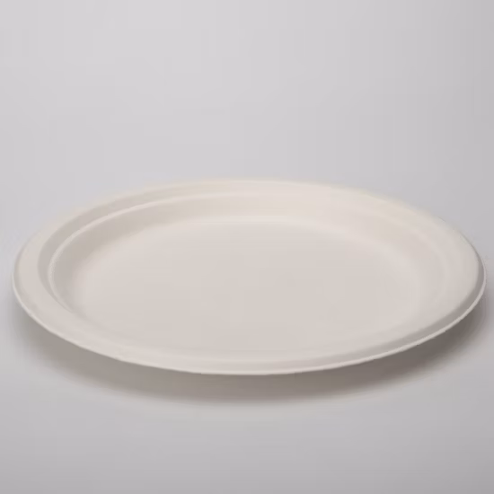 8.75 Inch Disposable Plates Bagasse Food Holder Food Standard Tableware